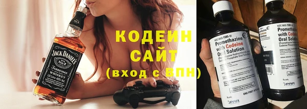 крисы Туринск