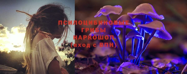 ГАЛЛЮЦИНОГЕННЫЕ ГРИБЫ Бронницы
