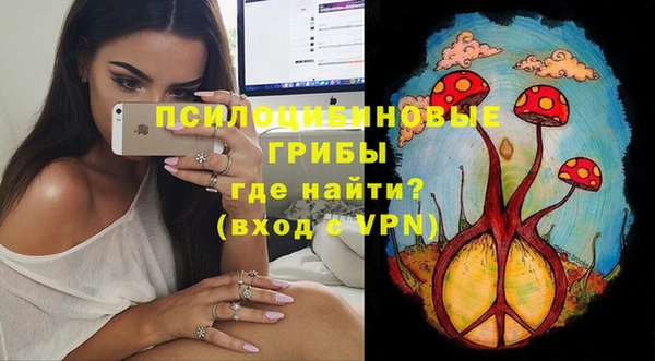 индика Тобольск