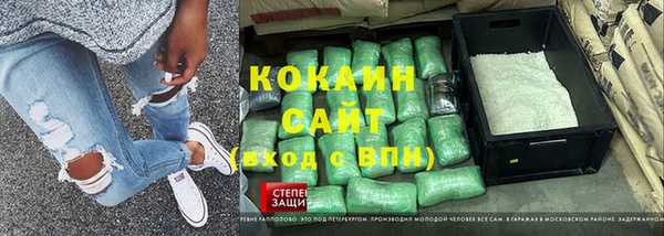 индика Тобольск