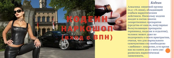 скорость Бородино