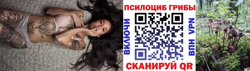 купить   Кизел  Псилоцибиновые грибы GOLDEN TEACHER 